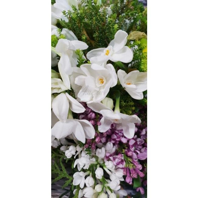 ВЕСЕННИЙ ДЕНЬ