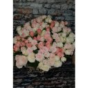 БУКЕТ ИЗ РОЗ КОРНЕЛИЯ
