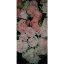 БУКЕТ ИЗ РОЗ КОРНЕЛИЯ