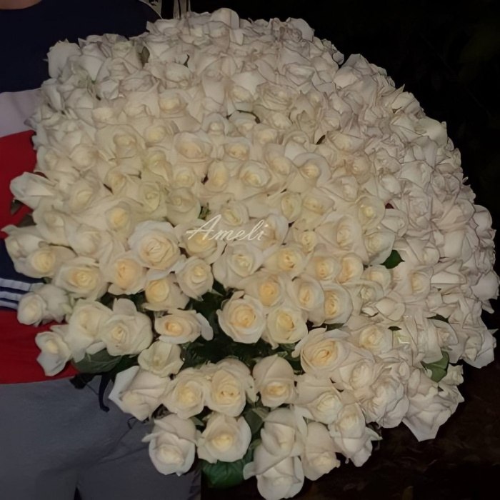 Букет из 151 белой розы «Вдохновение» — доставка цветов Ивантеевке