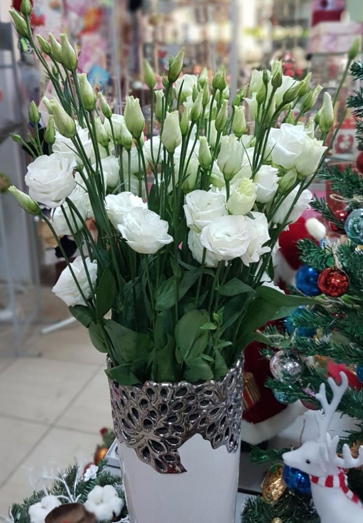 Эустома белая (поштучно)