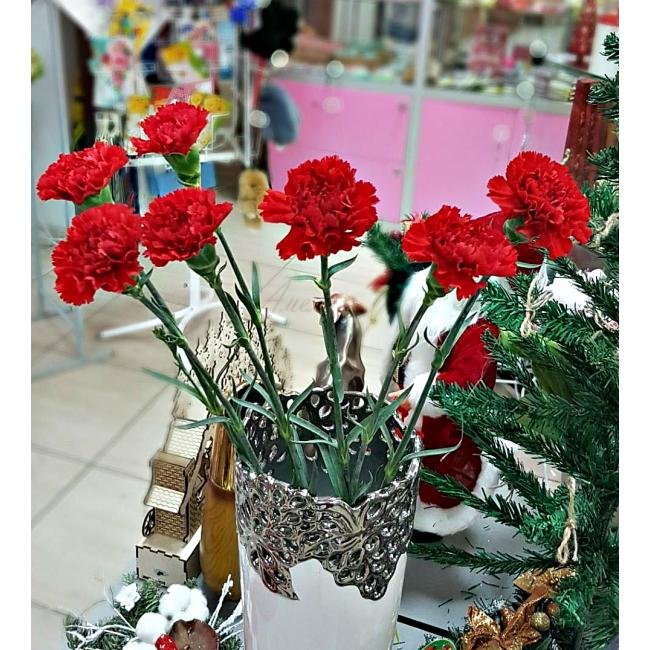 Красная Гвоздика