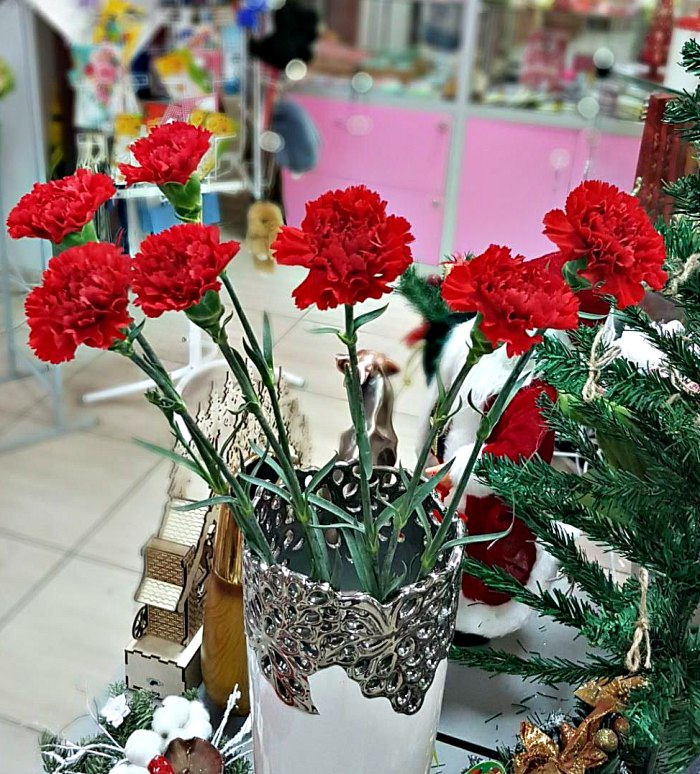 Гвоздика красная (поштучно) — доставка цветов Ивантеевке