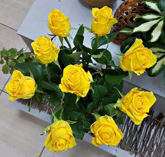 Роза Penny Lane, 70 см (поштучно) — доставка цветов Ивантеевке